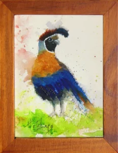 Miniature Original Watercolor Quail